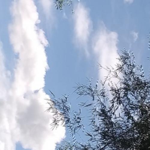 สมาชิกหมายเลข 6664916