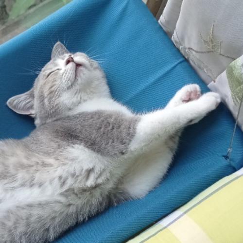 สมาชิกหมายเลข 5598278