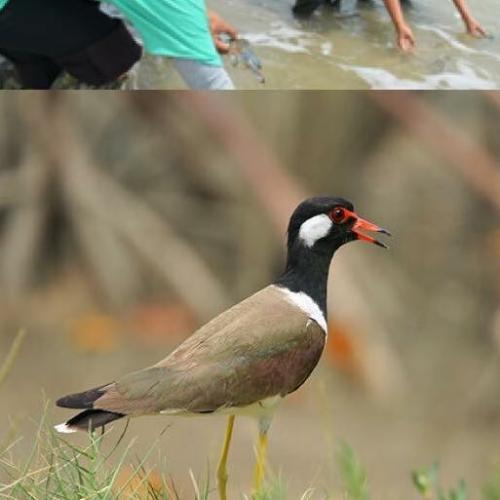 สมาชิกหมายเลข 1873015