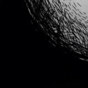 สมาชิกหมายเลข 3959440