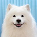 สมาชิกหมายเลข 4377530