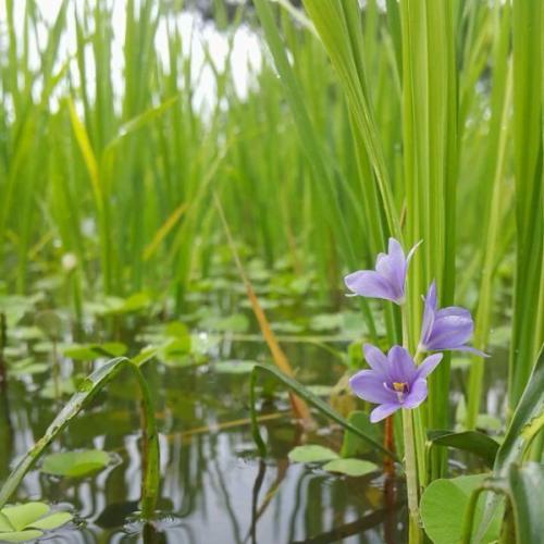 คนจิตสัมผัส