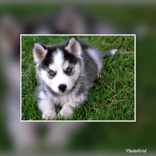 สมาชิกหมายเลข 4718157