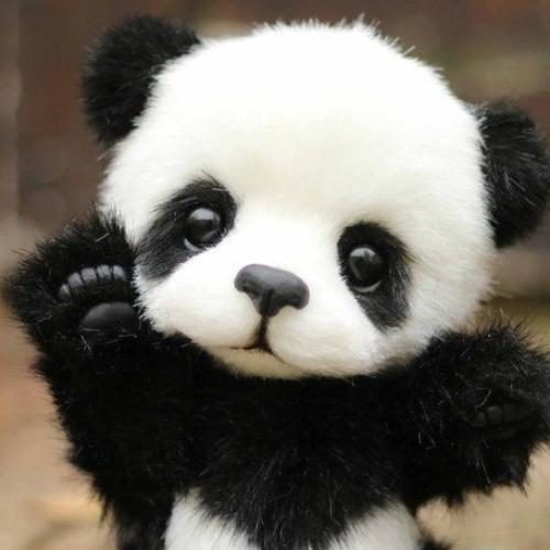 สมาชิกหมายเลข 5112774