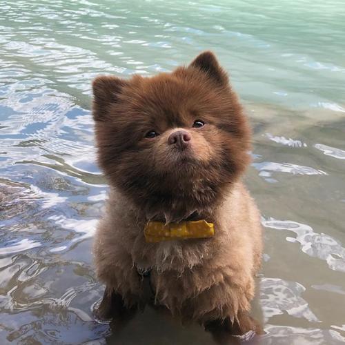 สมาชิกหมายเลข 5504544