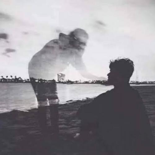 สมาชิกหมายเลข 3036021