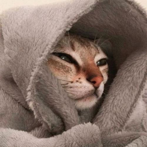 สมาชิกหมายเลข 3638875