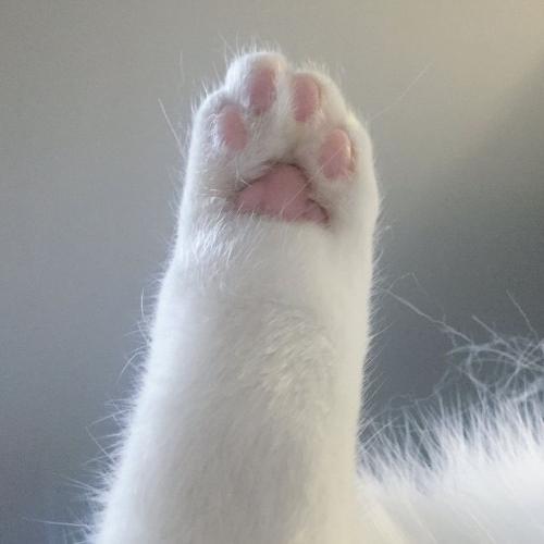 สมาชิกหมายเลข 7404697