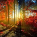 สมาชิกหมายเลข 3892287