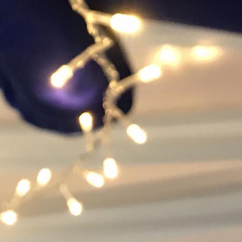 สมาชิกหมายเลข 2945709