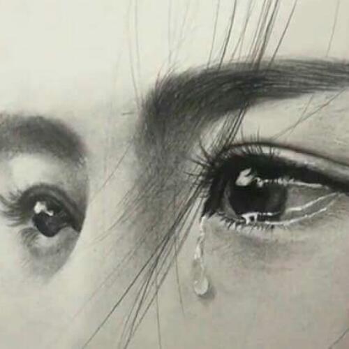 สมาชิกหมายเลข 4733069