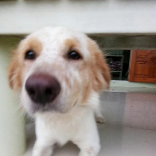 สมาชิกหมายเลข 5113015