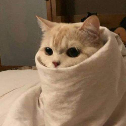 สมาชิกหมายเลข 6182967