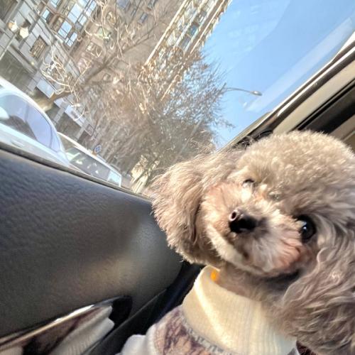 สมาชิกหมายเลข 6666469