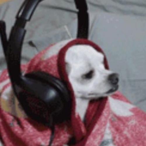 สมาชิกหมายเลข 5220920