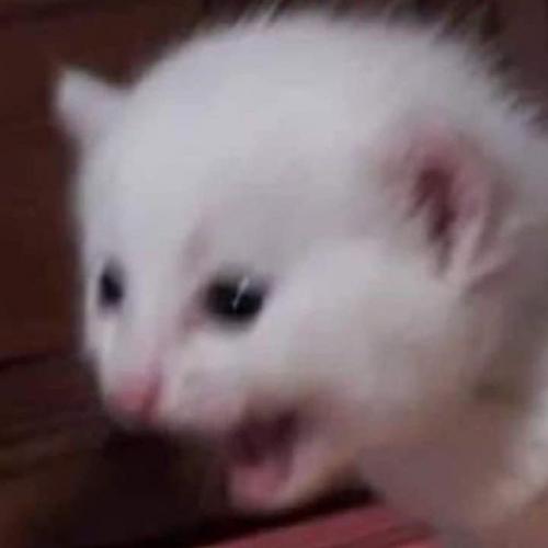 สมาชิกหมายเลข 6755401