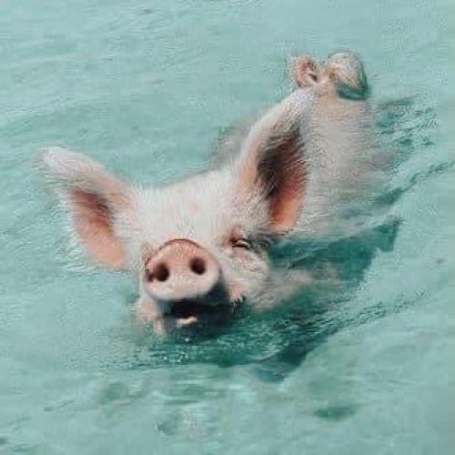 สมาชิกหมายเลข 7415994