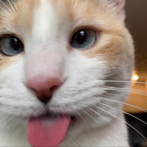 สมาชิกหมายเลข 6946744