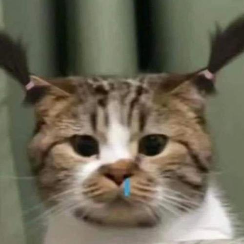 สมาชิกหมายเลข 7682714