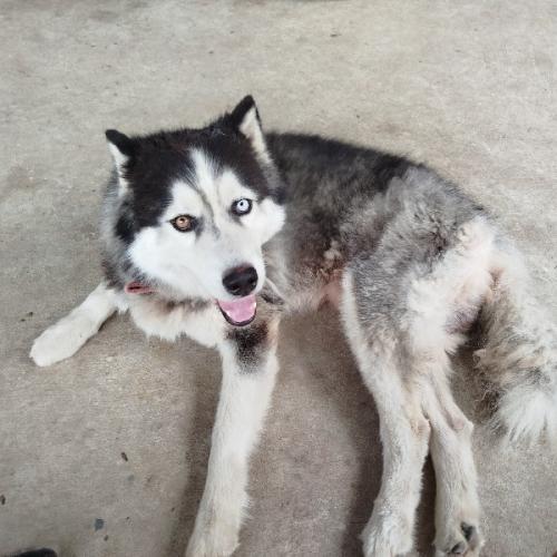 สมาชิกหมายเลข 8305084