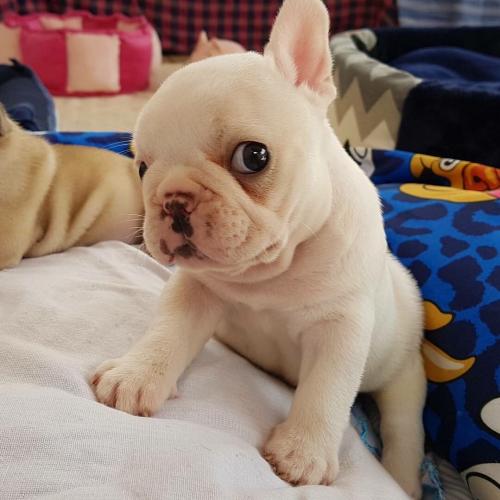 สมาชิกหมายเลข 1611555