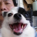 สมาชิกหมายเลข 3290558