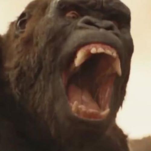 สมาชิกหมายเลข 3909739