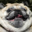 สมาชิกหมายเลข 2969930