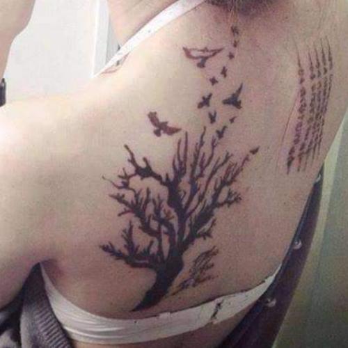 สมาชิกหมายเลข 5485435