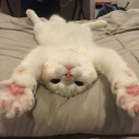 สมาชิกหมายเลข 5505477