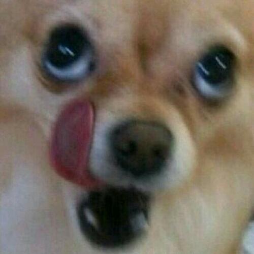 สมาชิกหมายเลข 5505670