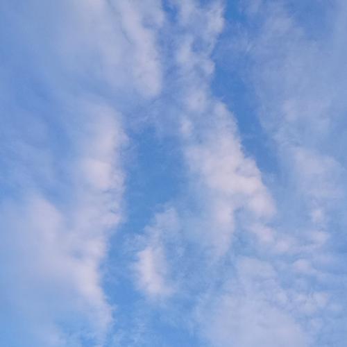 สมาชิกหมายเลข 5505709