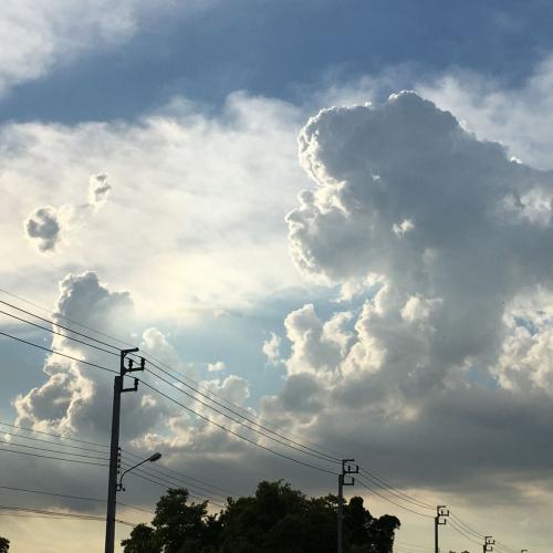 สมาชิกหมายเลข 4869276