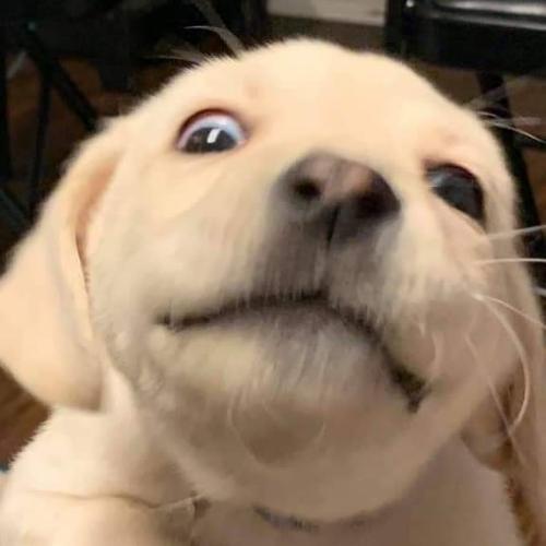 สมาชิกหมายเลข 5922348