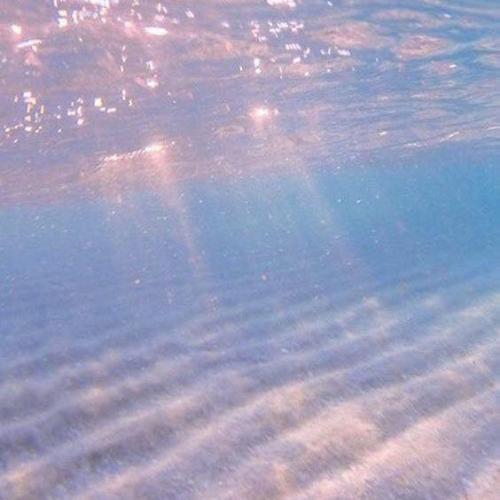 สมาชิกหมายเลข 6046481