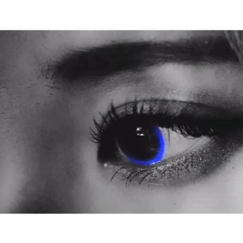 สมาชิกหมายเลข 5093380