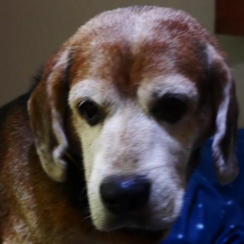 สมาชิกหมายเลข 3012132