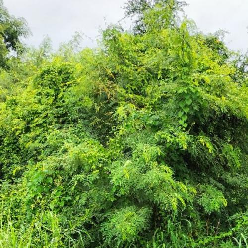 สมาชิกหมายเลข 7673212