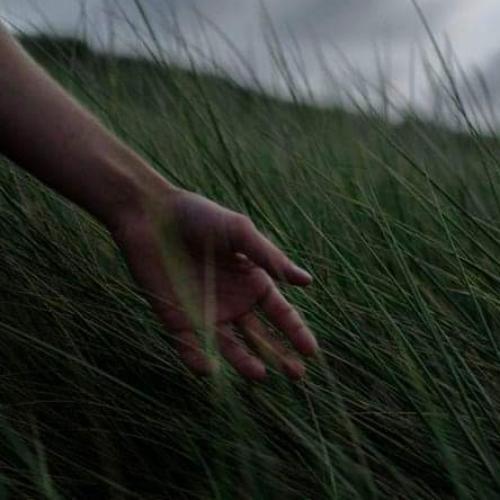 สมาชิกหมายเลข 8306643