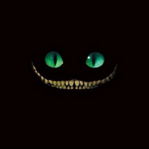 สมาชิกหมายเลข 3909916