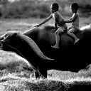 สมาชิกหมายเลข 2944832