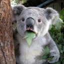 สมาชิกหมายเลข 4378932