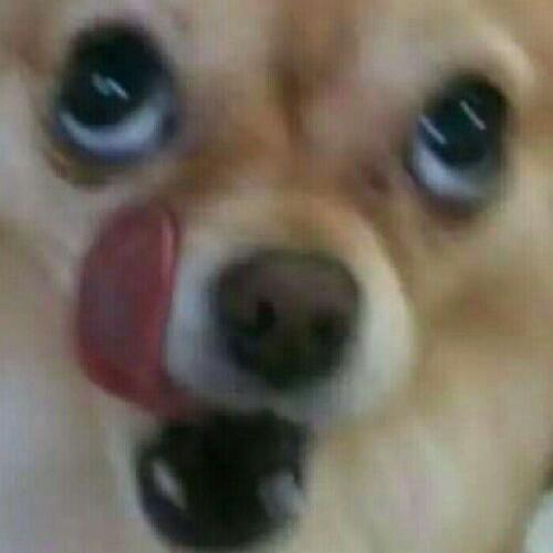 สมาชิกหมายเลข 4740413