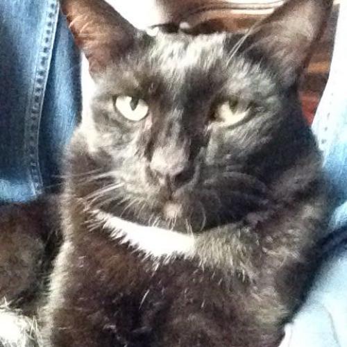 สมาชิกหมายเลข 2062787