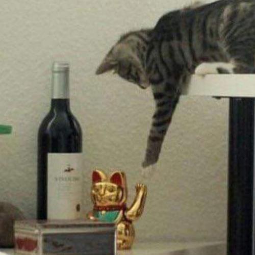 สมาชิกหมายเลข 2342352