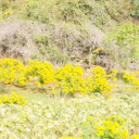 สมาชิกหมายเลข 3837561