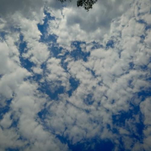 สมาชิกหมายเลข 5086895