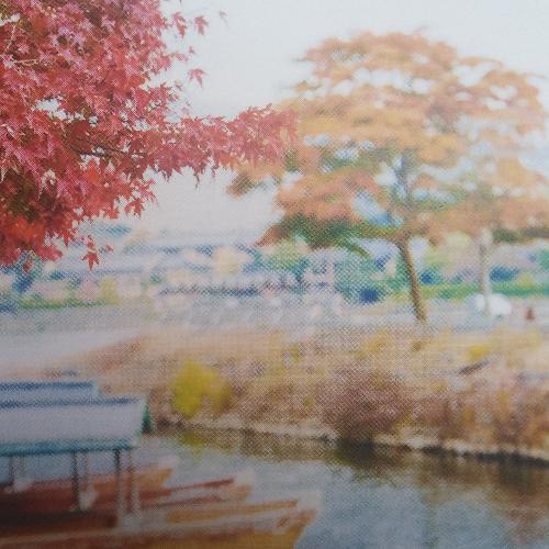 สมาชิกหมายเลข 5113813