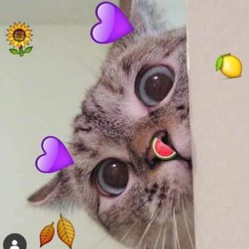 สมาชิกหมายเลข 3715122