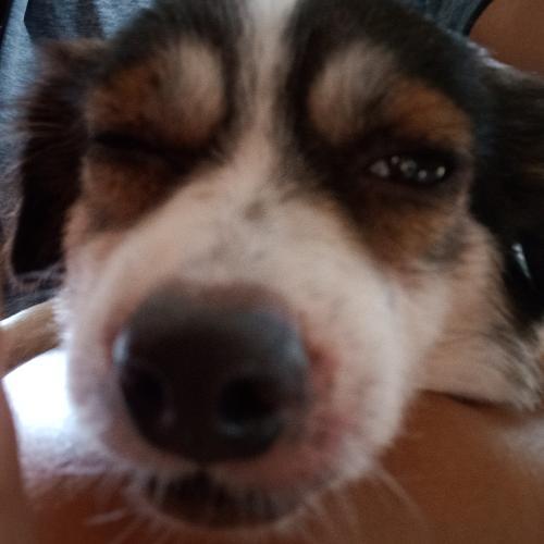 สมาชิกหมายเลข 5505919